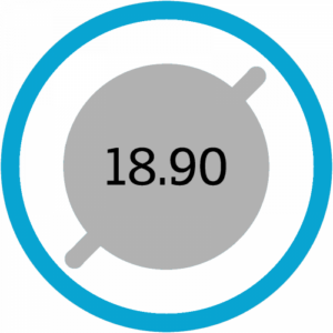 18.90 Kraftstoff (Dampf)