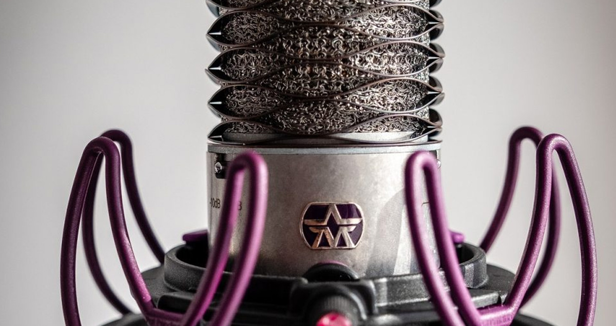 Technical Case Study - Electronic Equipment / Microphones